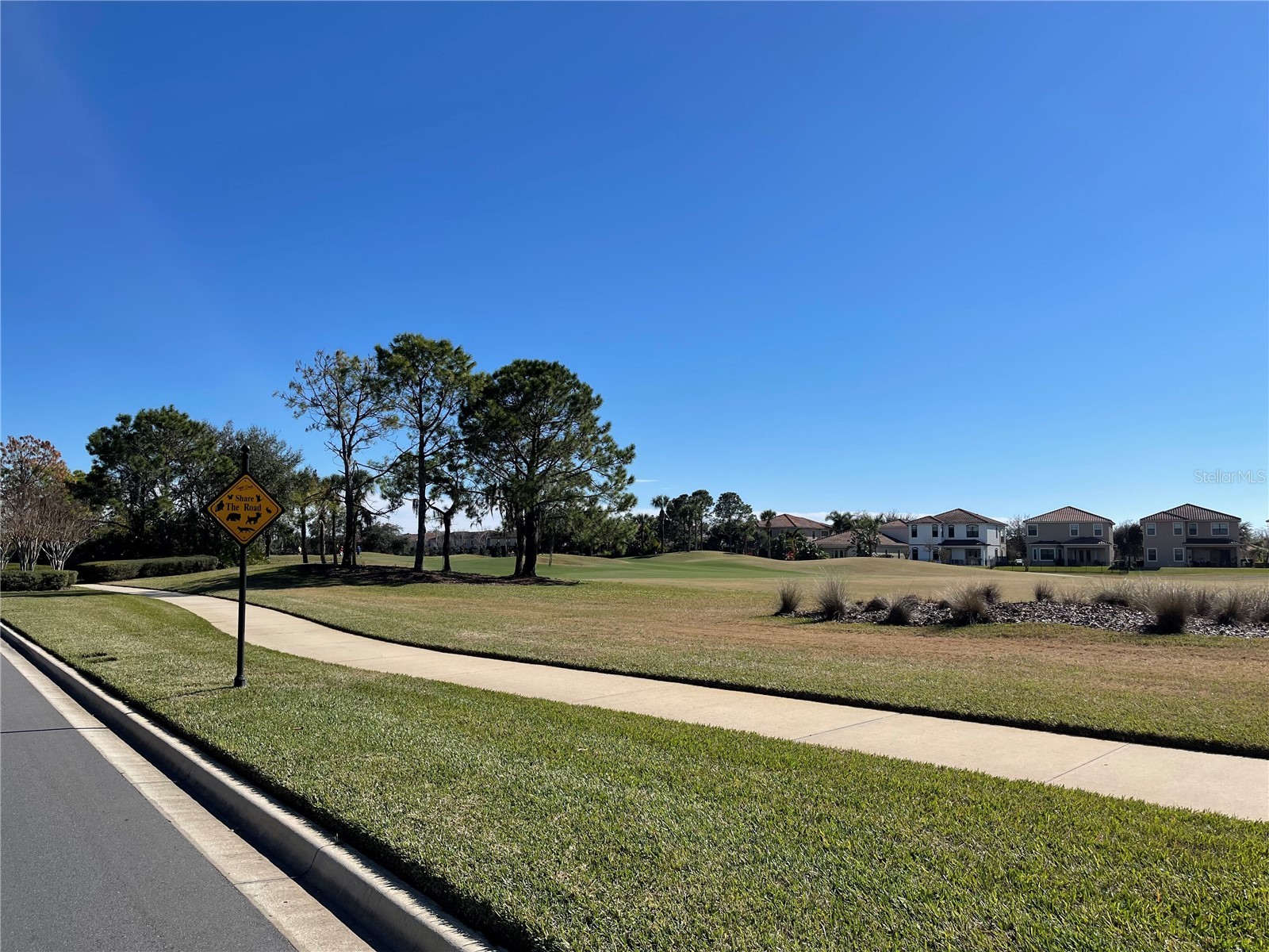 9799 Winnington Street Orlando FL 32832 O6396458 image41
