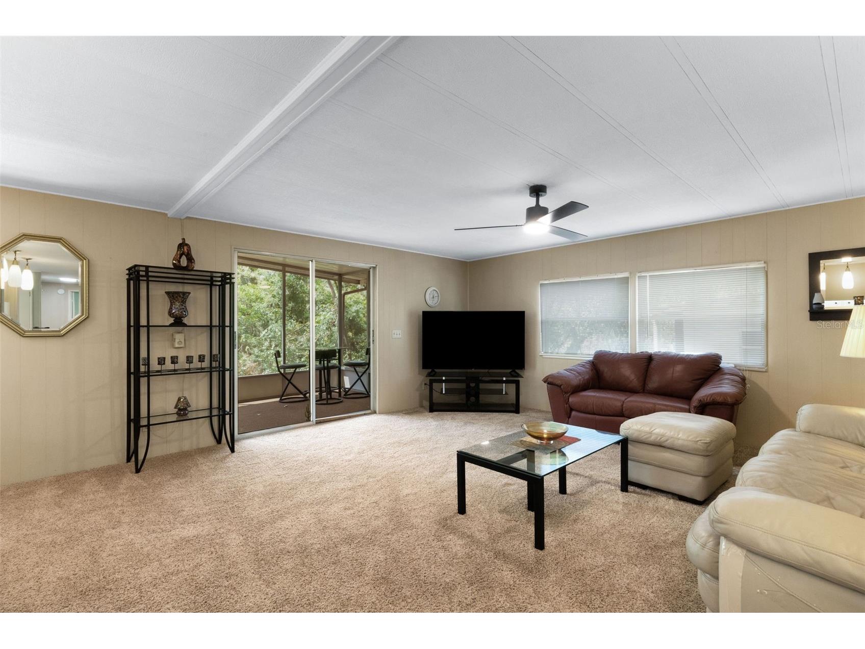 98 Cedar Elm Drive #32 Safety Harbor FL 34695 TB8497563 image14
