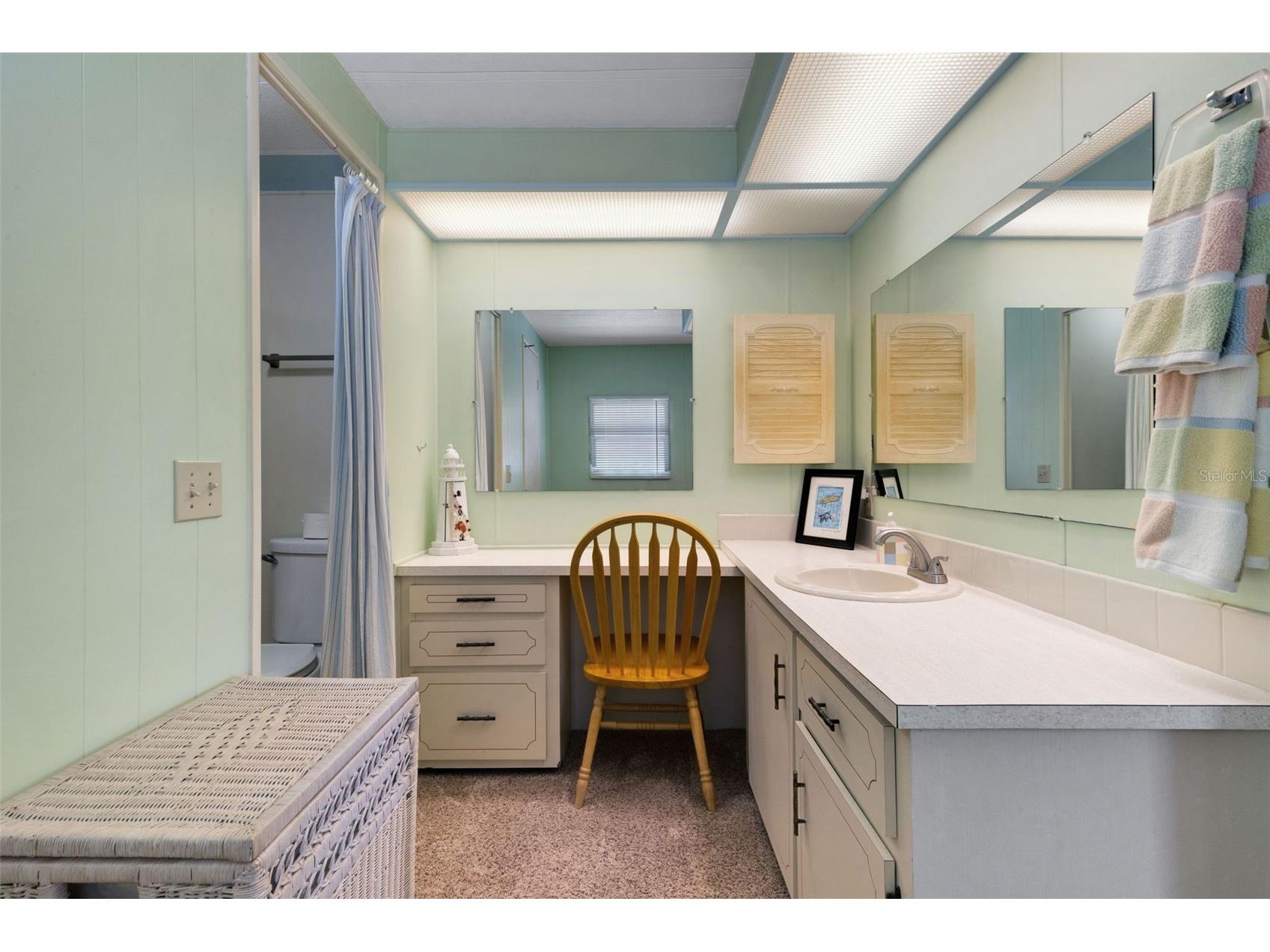 98 Cedar Elm Drive #32 Safety Harbor FL 34695 TB8497563 image25