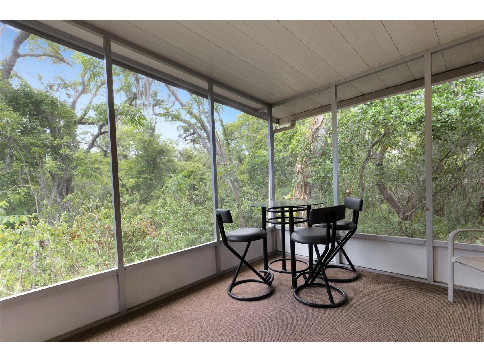 98 Cedar Elm Drive #32 Safety Harbor FL 34695 TB8497563 image28