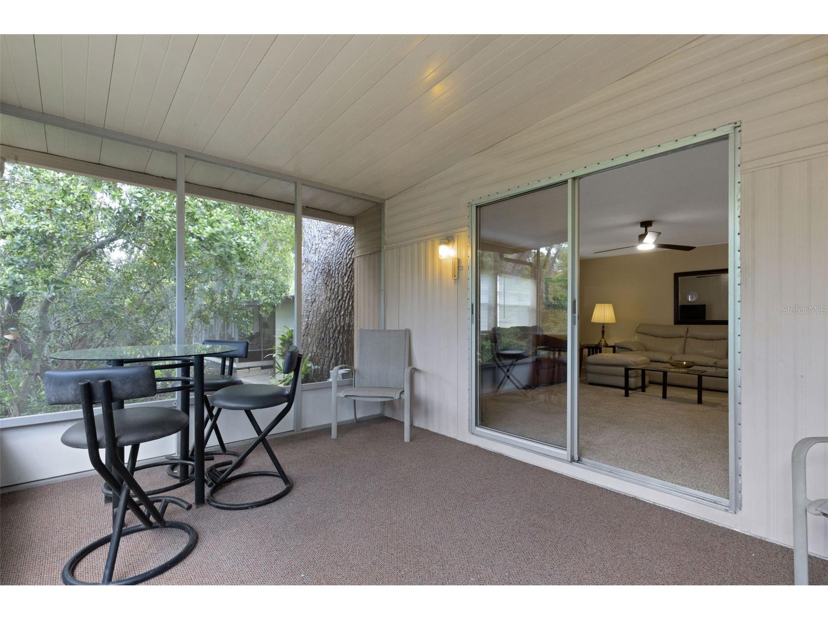 98 Cedar Elm Drive #32 Safety Harbor FL 34695 TB8497563 image30