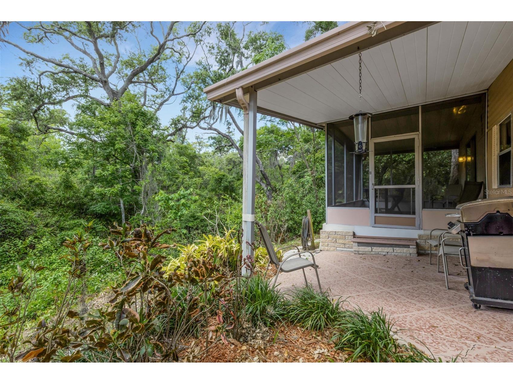 98 Cedar Elm Drive #32 Safety Harbor FL 34695 TB8497563 image31
