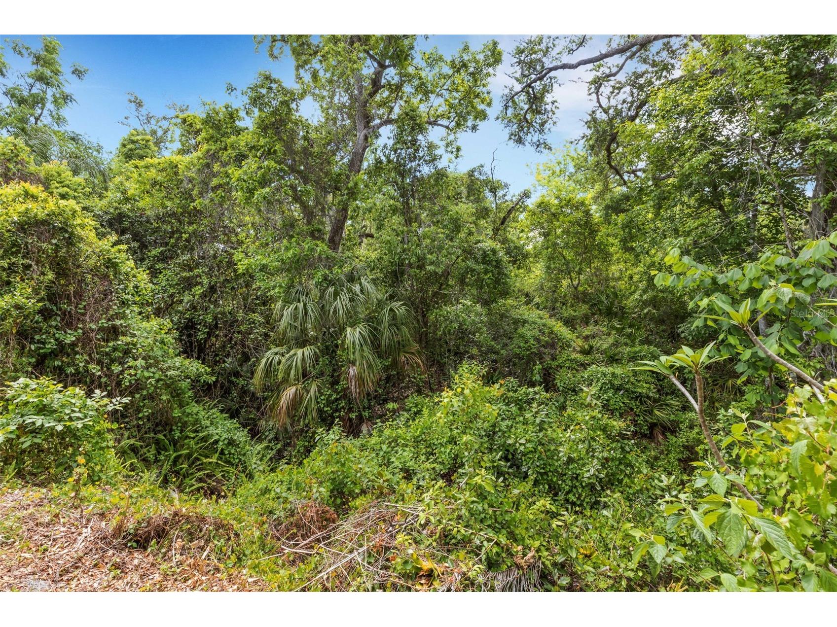 98 Cedar Elm Drive #32 Safety Harbor FL 34695 TB8497563 image33