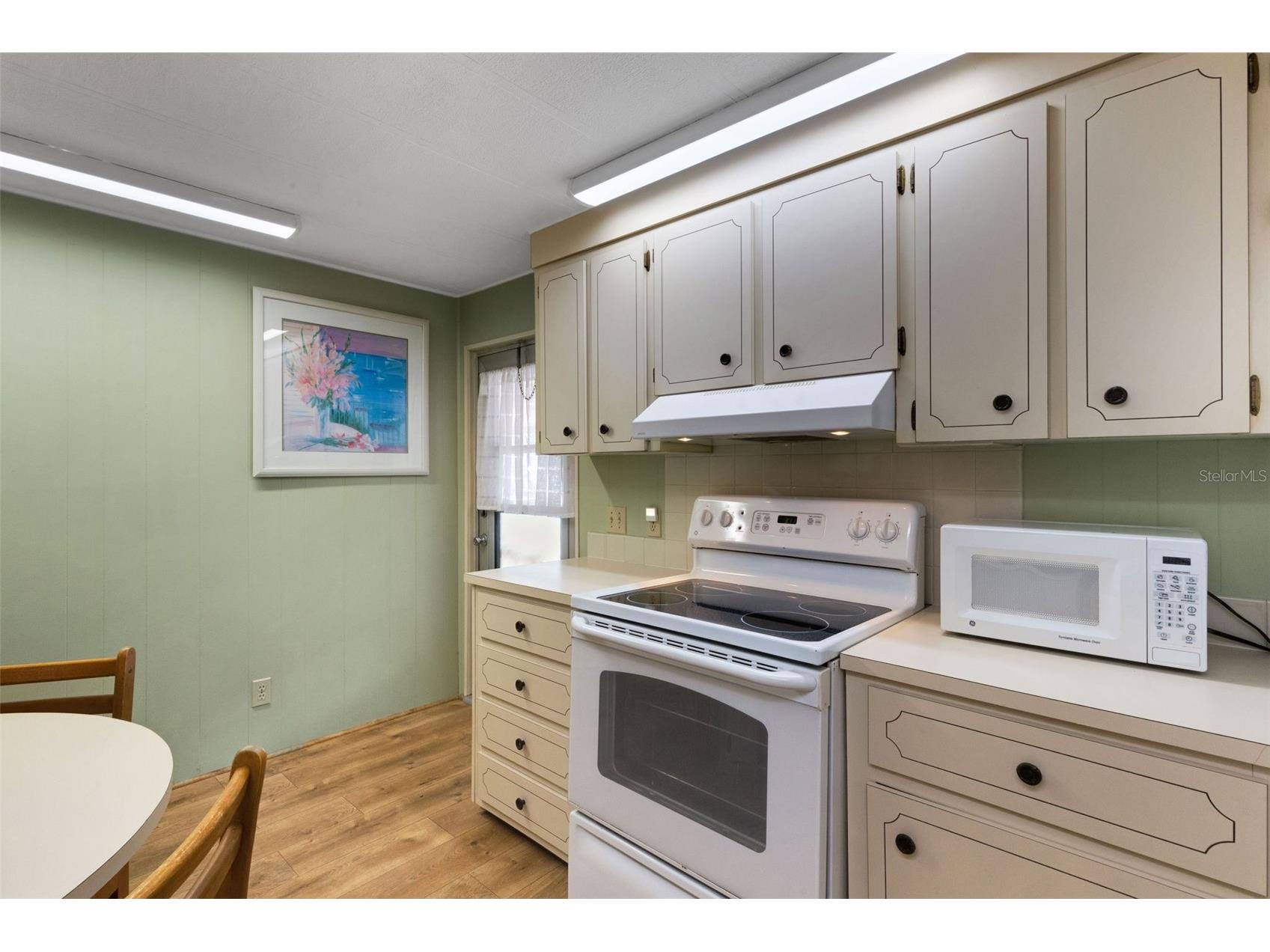 98 Cedar Elm Drive #32 Safety Harbor FL 34695 TB8497563 image6