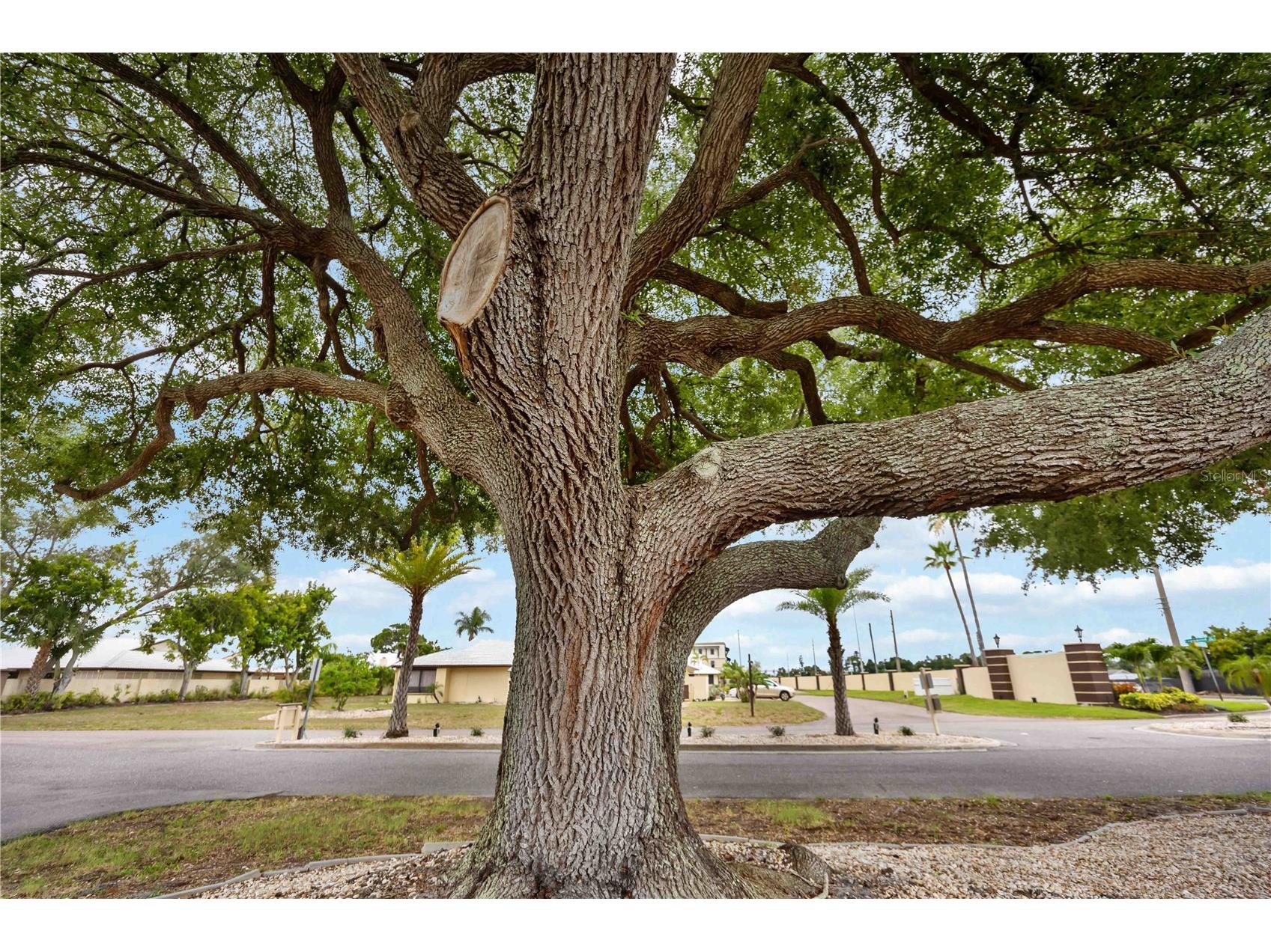 98 Drifting Sands Drive Venice FL 34293 N6144679 image53