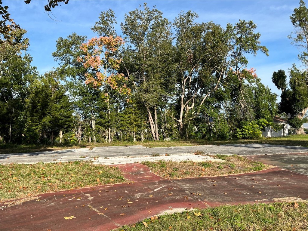 98 S Desoto Street Beverly Hills FL 34465 OM713149 image4