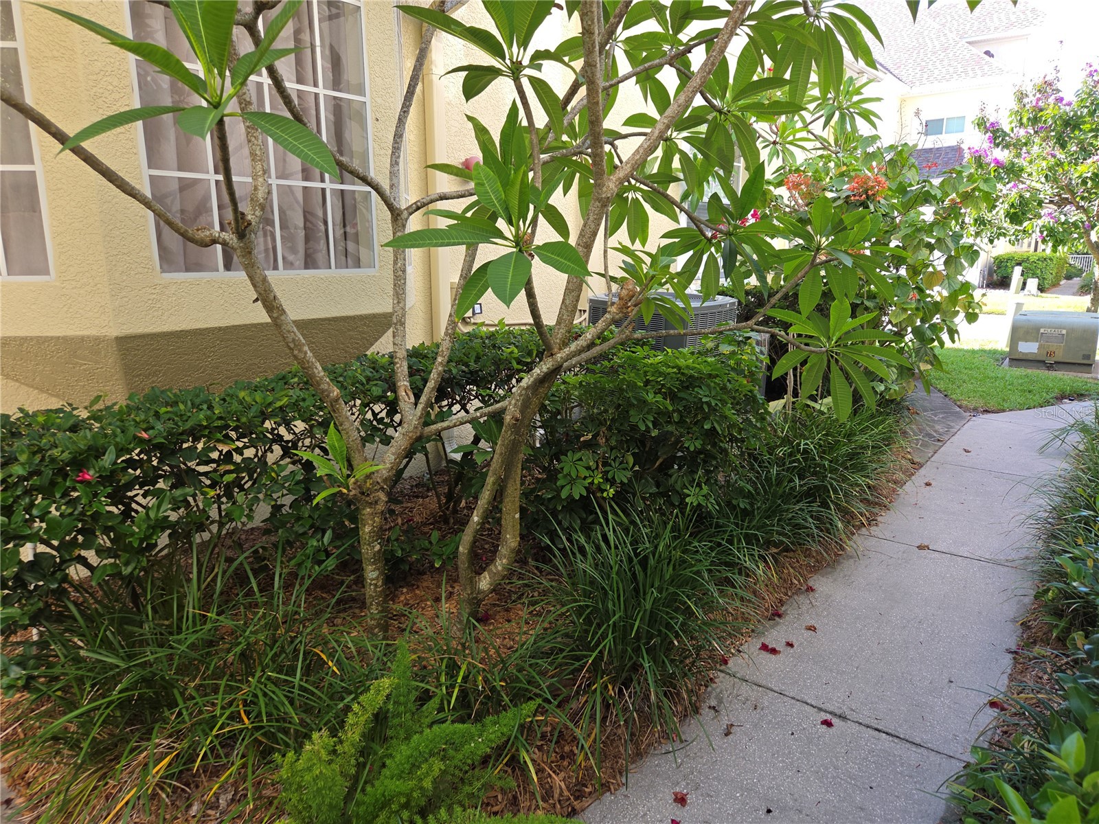 98 S Highland Avenue #2002 Tarpon Springs FL 34689 - LAKE TARPON CLOSE W ACCESS TB8525818 image44