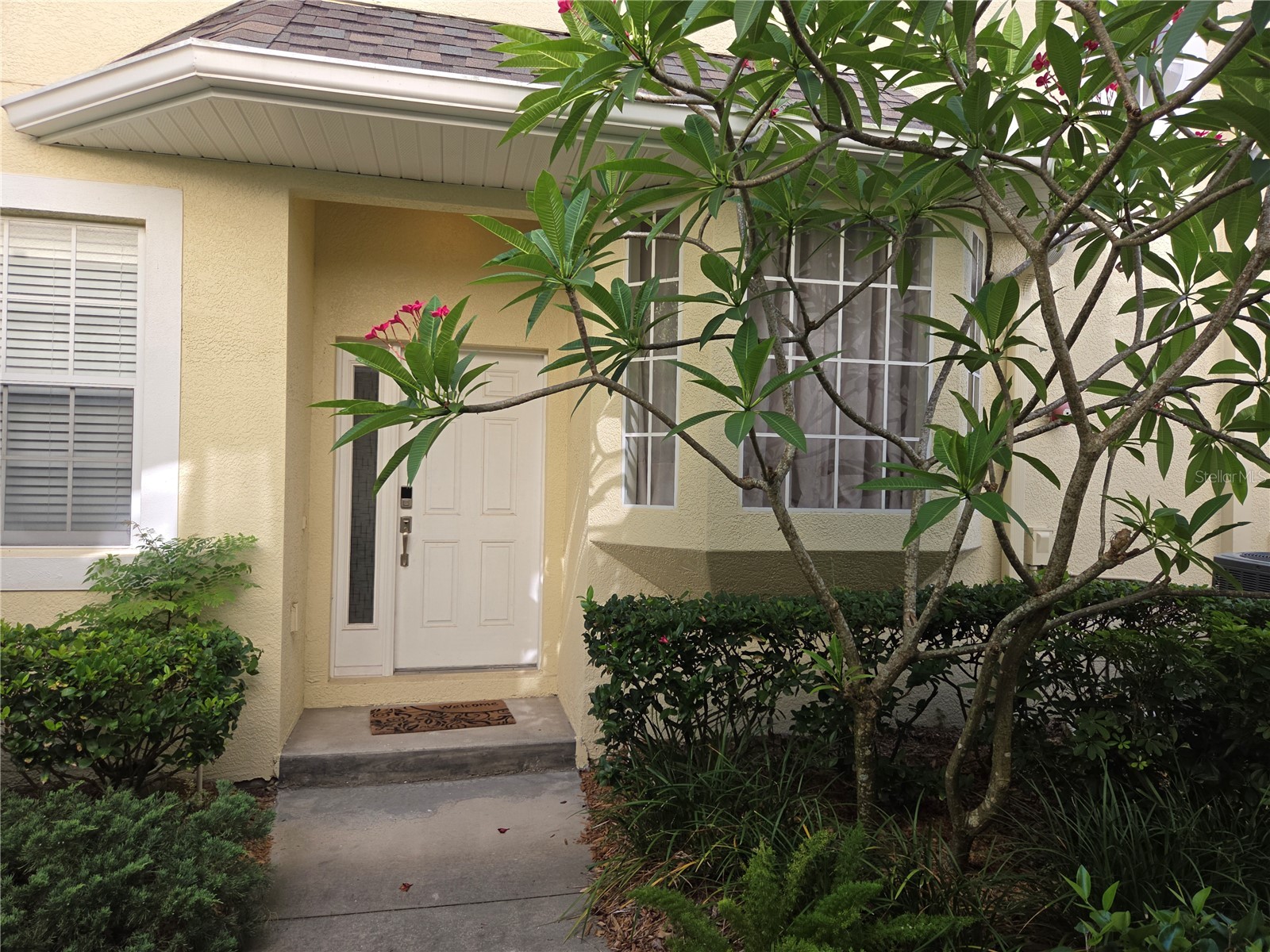 98 S Highland Avenue #2002 Tarpon Springs FL 34689 - LAKE TARPON CLOSE W ACCESS TB8525818 image45