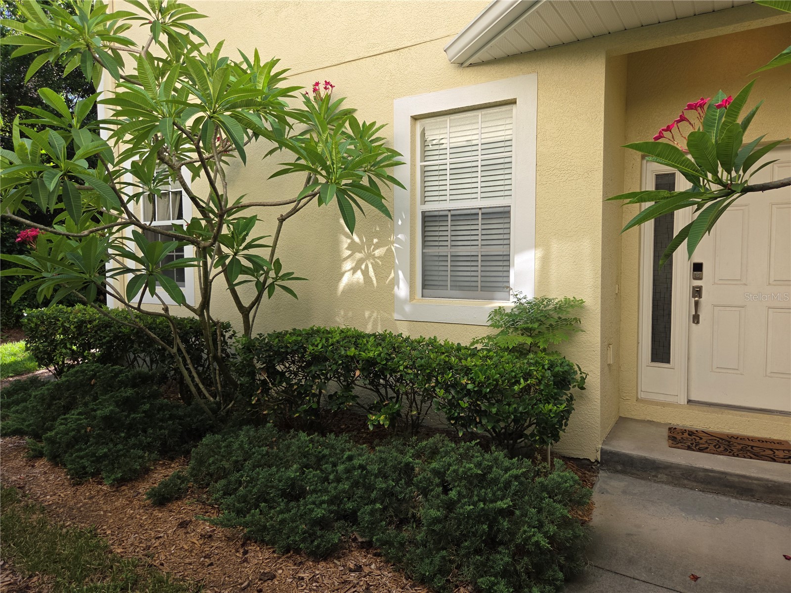98 S Highland Avenue #2002 Tarpon Springs FL 34689 - LAKE TARPON CLOSE W ACCESS TB8525818 image46