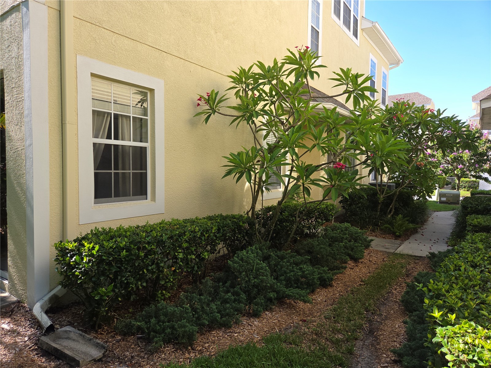 98 S Highland Avenue #2002 Tarpon Springs FL 34689 - LAKE TARPON CLOSE W ACCESS TB8525818 image48