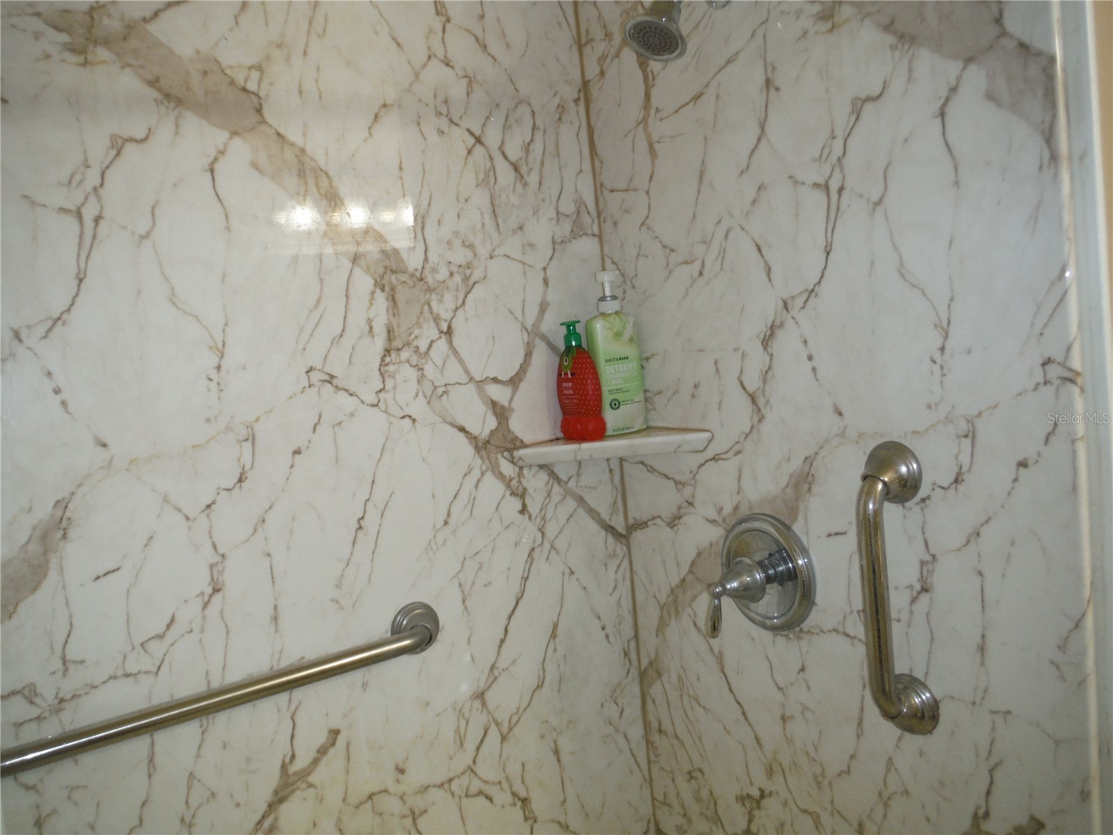 98 Sugar Bear Drive #57 Safety Harbor FL 34695 TB8475004 image18