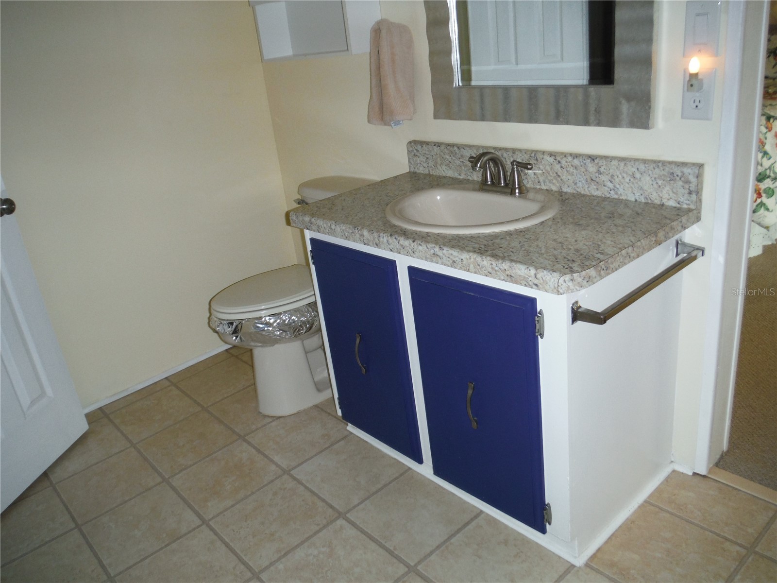 98 Sugar Bear Drive #57 Safety Harbor FL 34695 TB8475004 image22