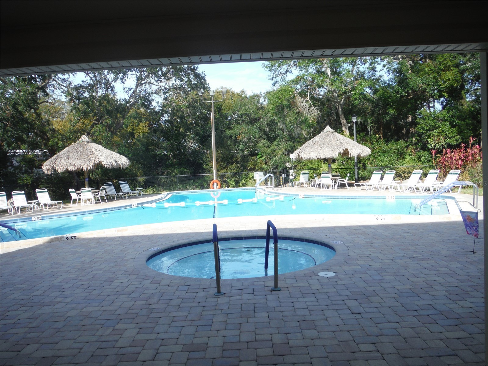 98 Sugar Bear Drive #57 Safety Harbor FL 34695 TB8475004 image36