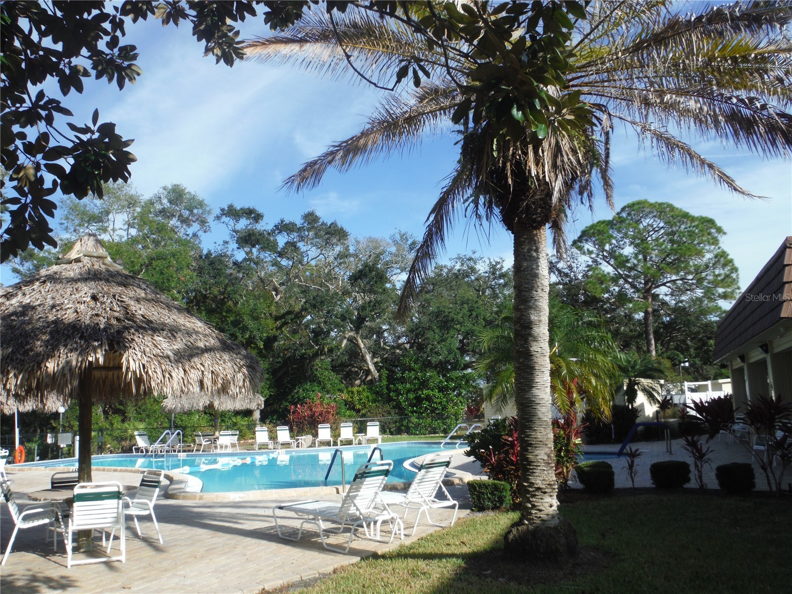 98 Sugar Bear Drive #57 Safety Harbor FL 34695 TB8475004 image37