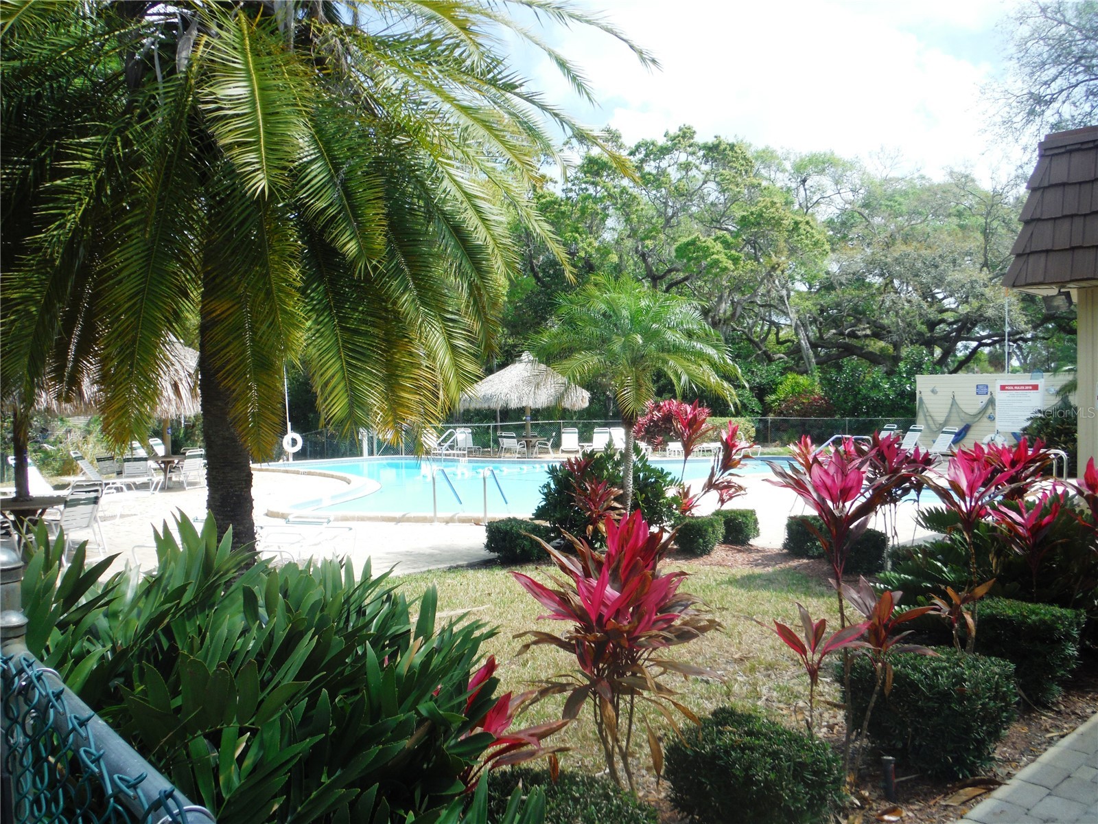 98 Sugar Bear Drive #57 Safety Harbor FL 34695 TB8475004 image38