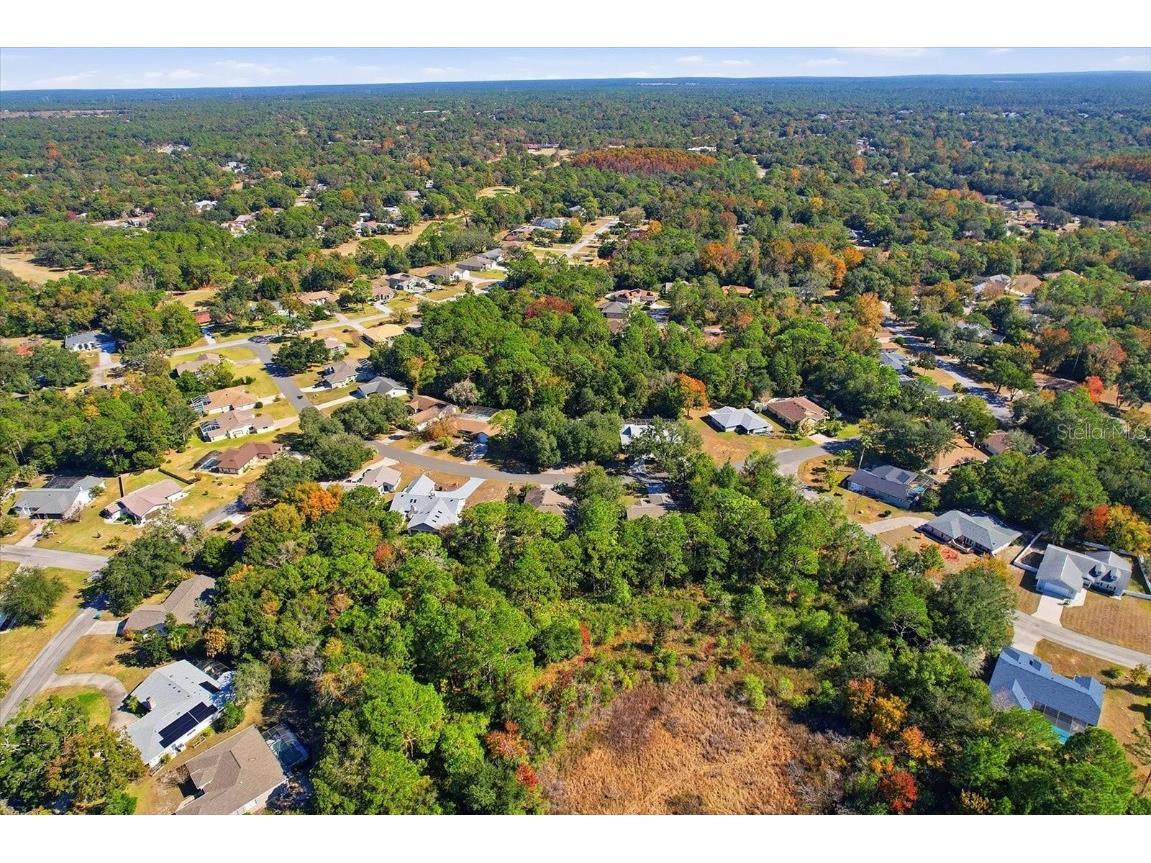 98 Sycamore Circle Homosassa FL 34446 OM714380 image32