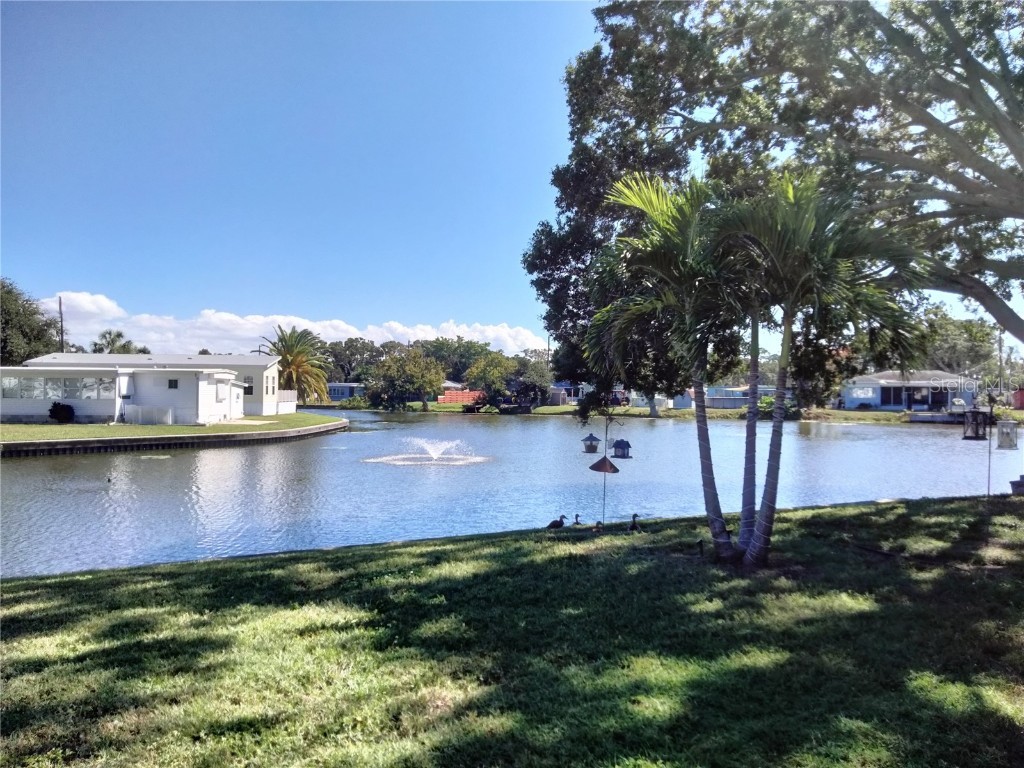 980 7th Street NW #1 Largo FL 33770 TB8451599 image34