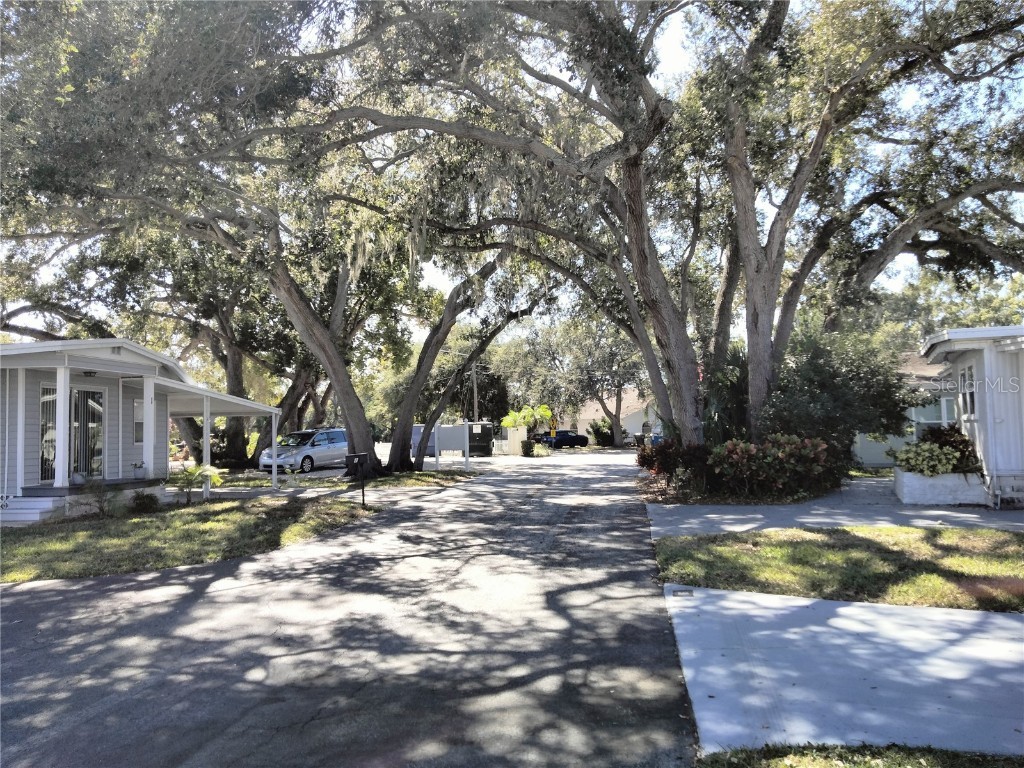 980 7th Street NW #91 Largo FL 33770 TB8440989 image28