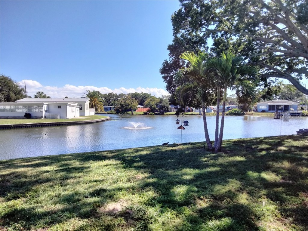 980 7th Street NW #91 Largo FL 33770 TB8440989 image35