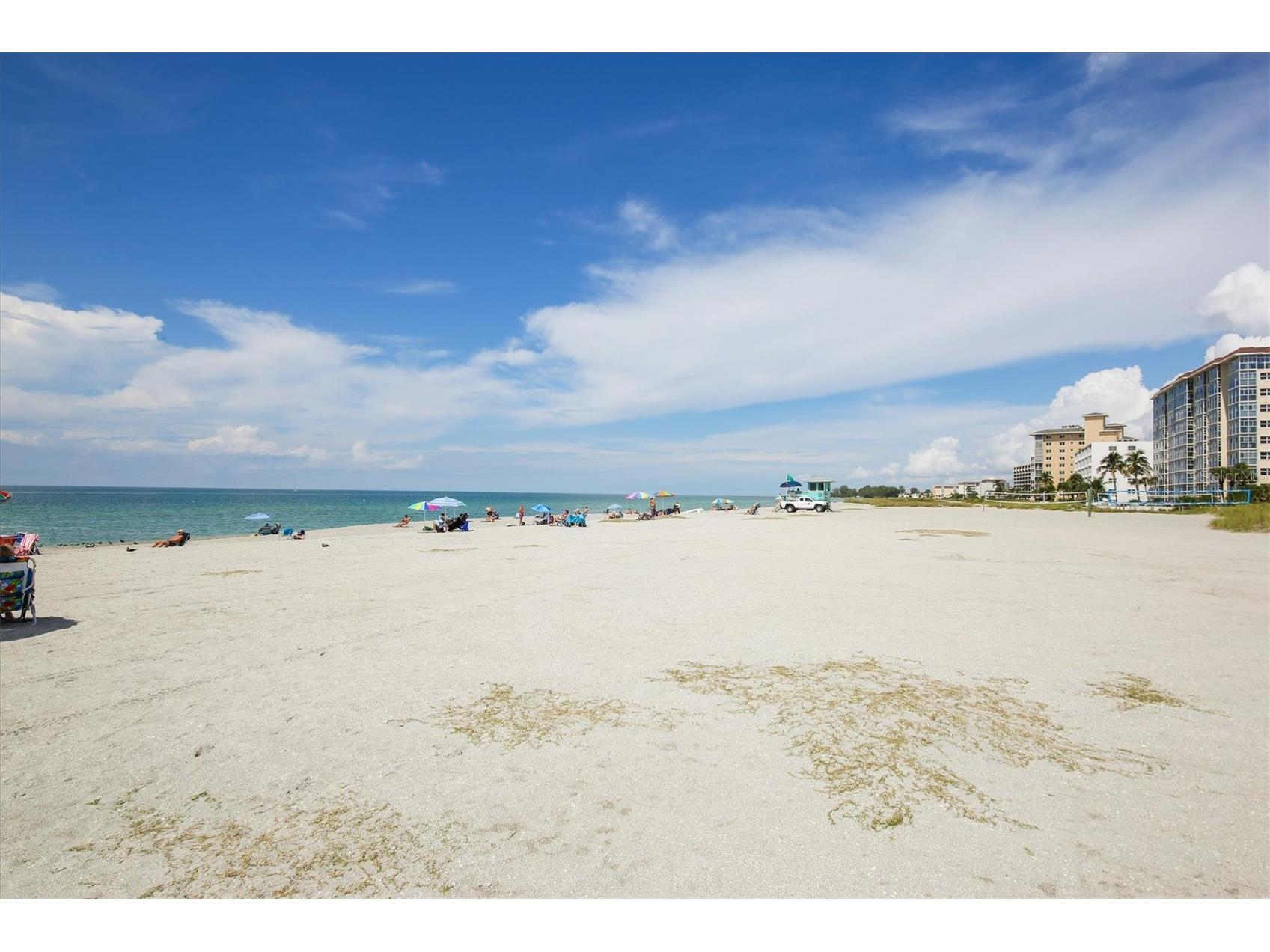 980 Cooper Street #201 Venice FL 34285 N6142821 image50