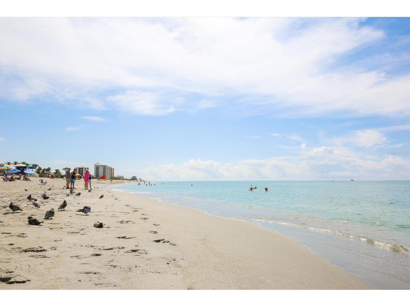 980 Cooper Street #201 Venice FL 34285 N6142821 image52