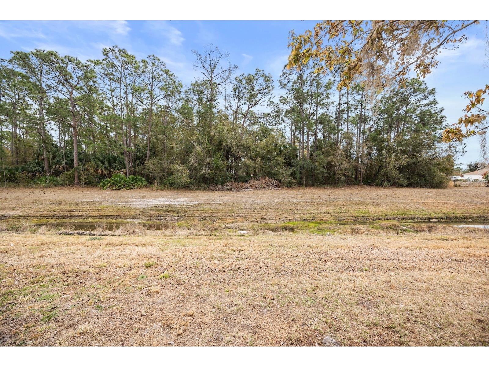 980 Derbyshire Drive Kissimmee FL 34758 O6382575 image18
