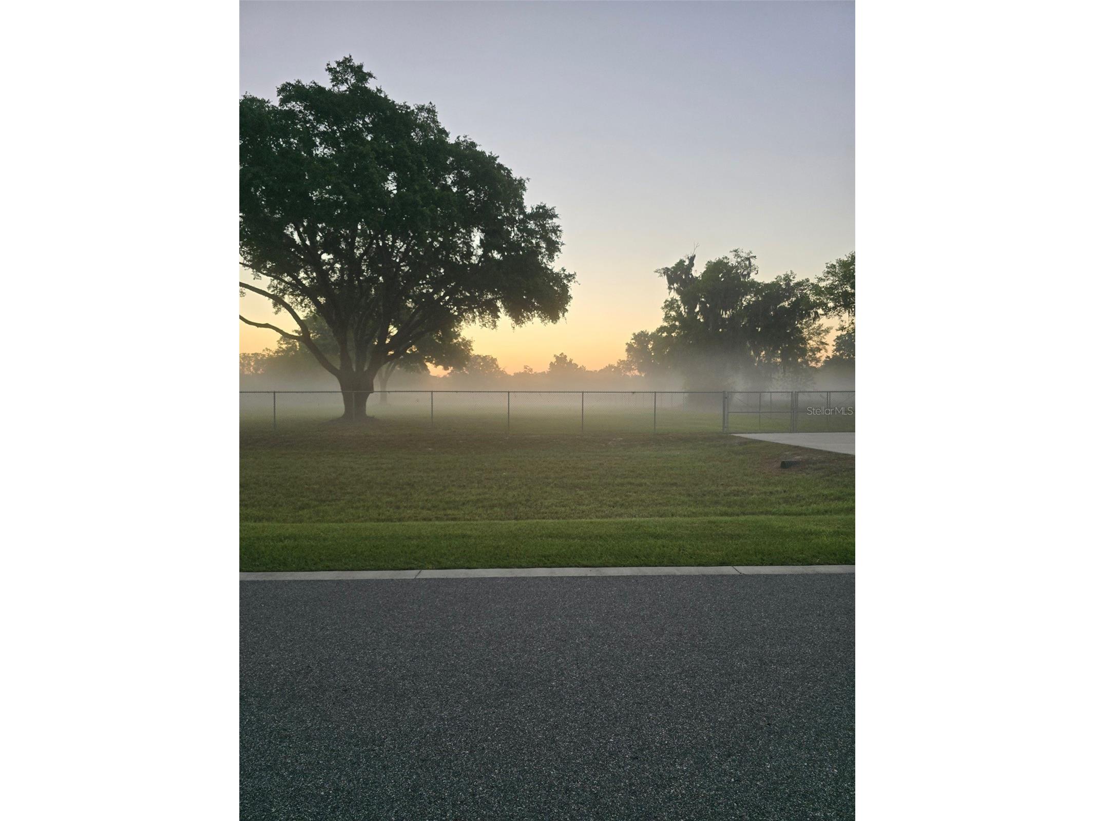 980 Duck Box Road Umatilla FL 32784 G5111187 image9