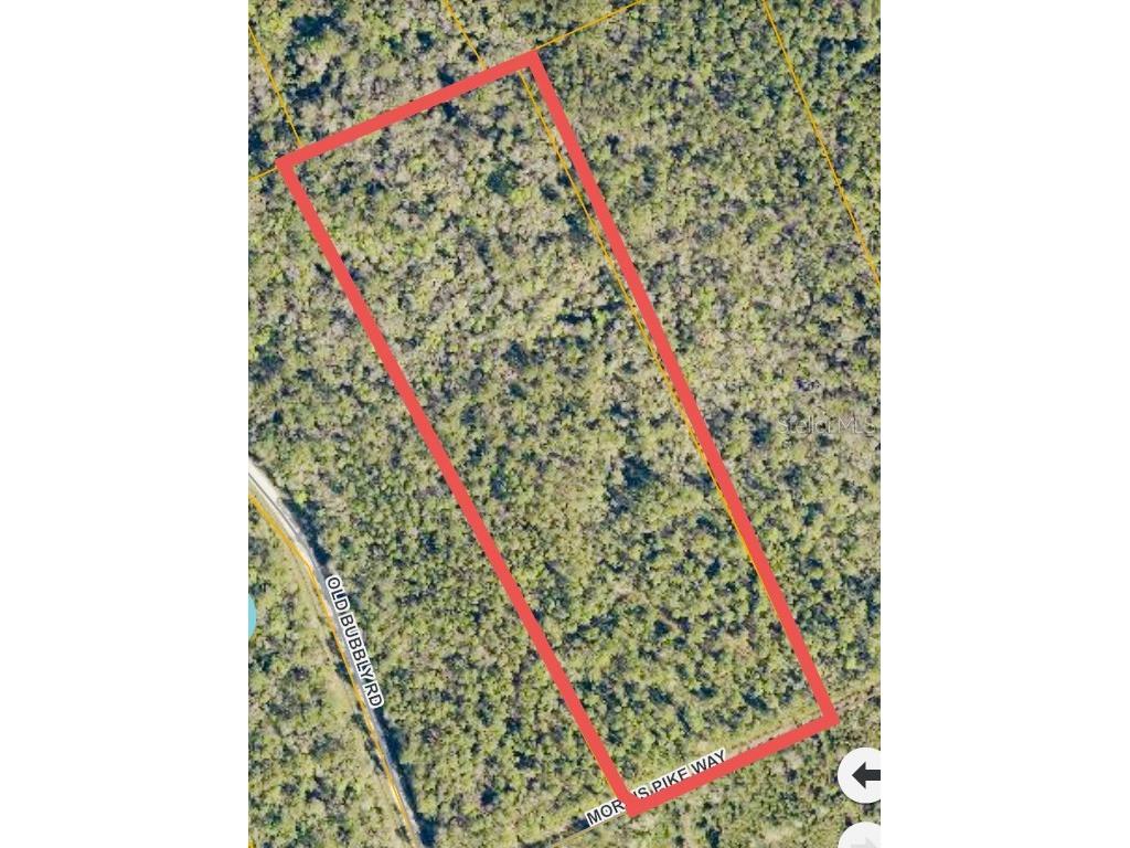 980 Morris Pike Way Pierson FL 32180 V4933625 image1