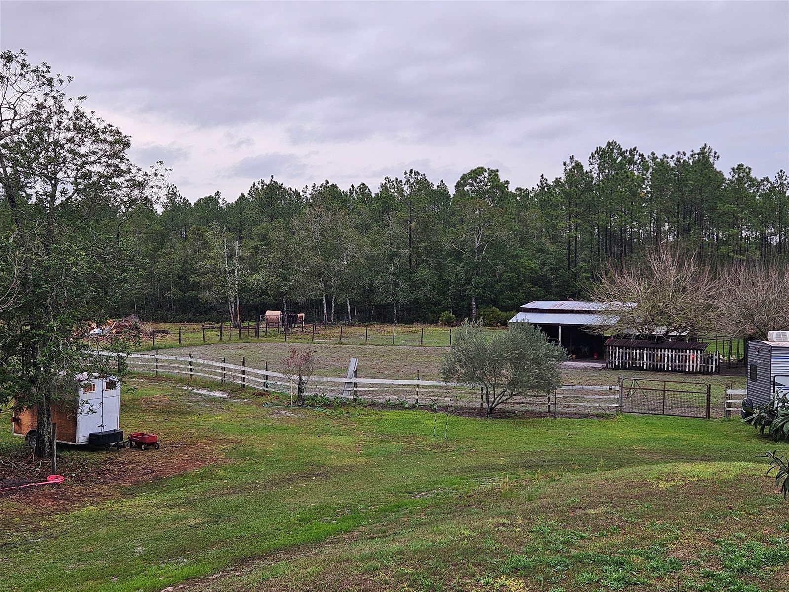 980 Still Road Pierson FL 32180 FC316968 image43