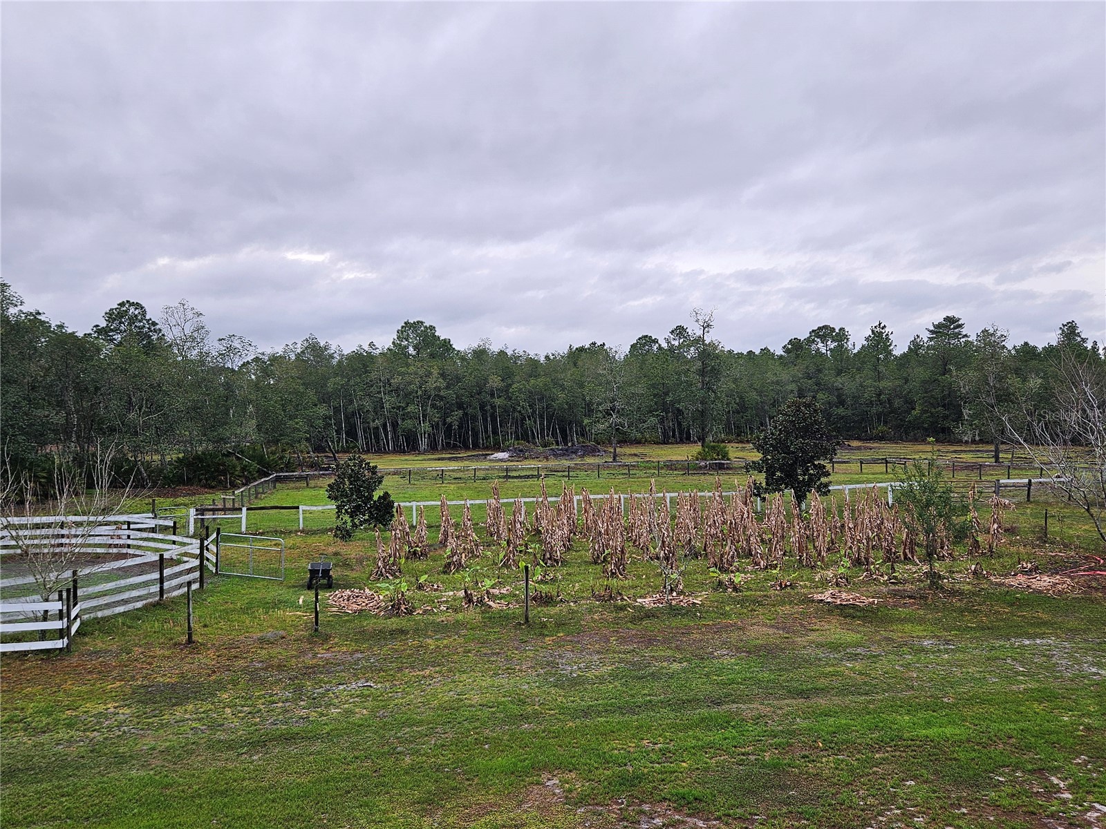 980 Still Road Pierson FL 32180 FC316968 image44