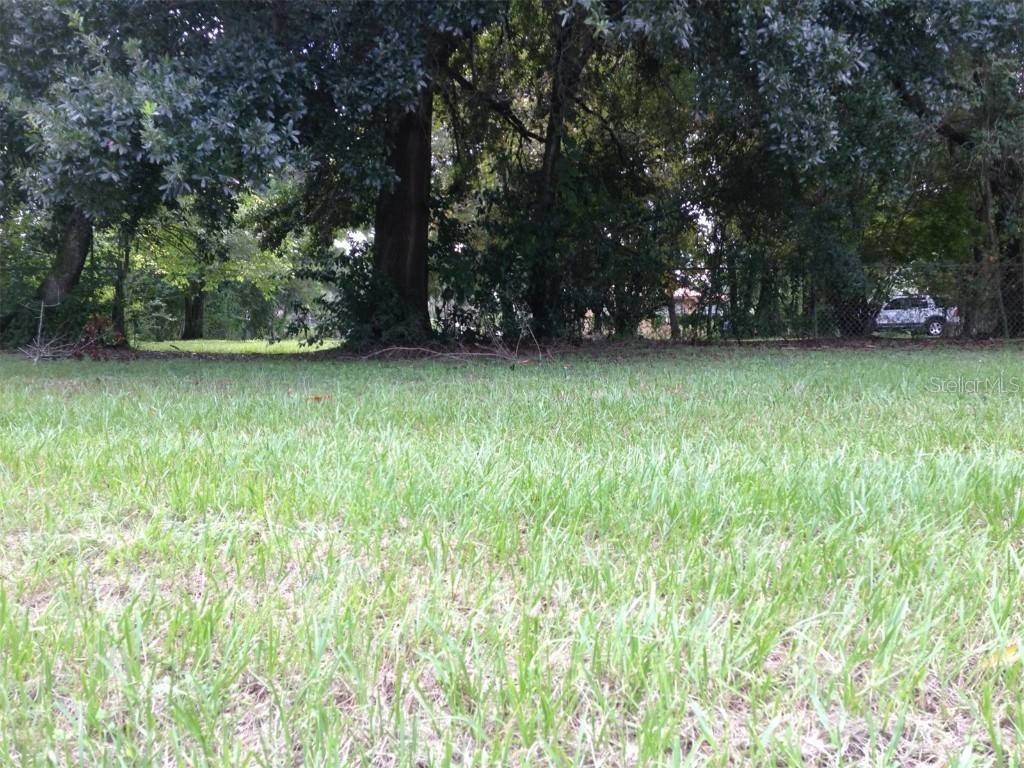 980 Waldon Avenue Bartow FL 33830 T3493739 image1