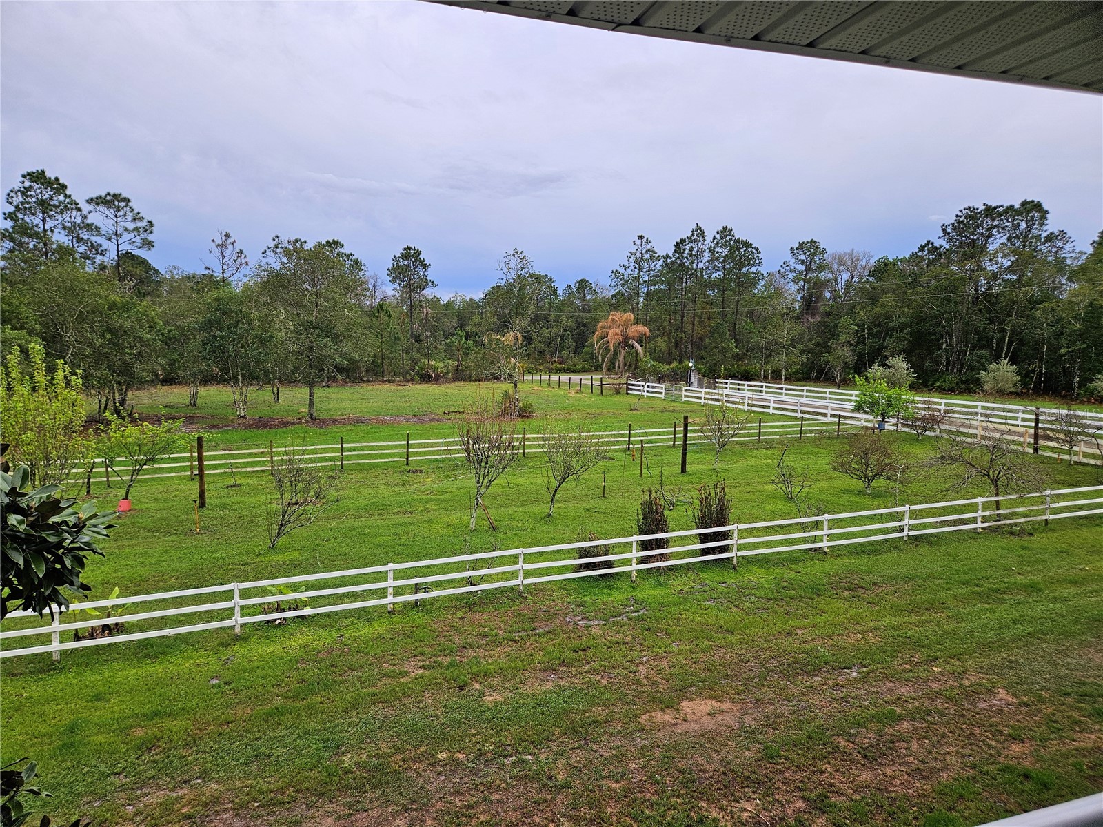 980 and 960 Still Road Pierson FL 32180 FC316954 image91