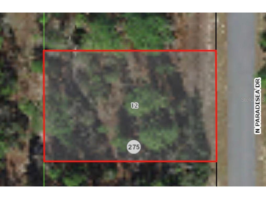 9800 N Paradisea Drive Citrus Springs FL 34433 A4578286 image1