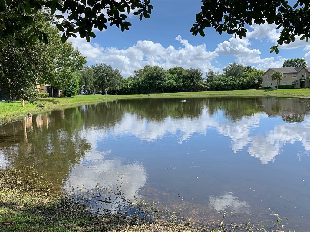 9800 Turf Way #2 Orlando FL 32837 S5140346 image20