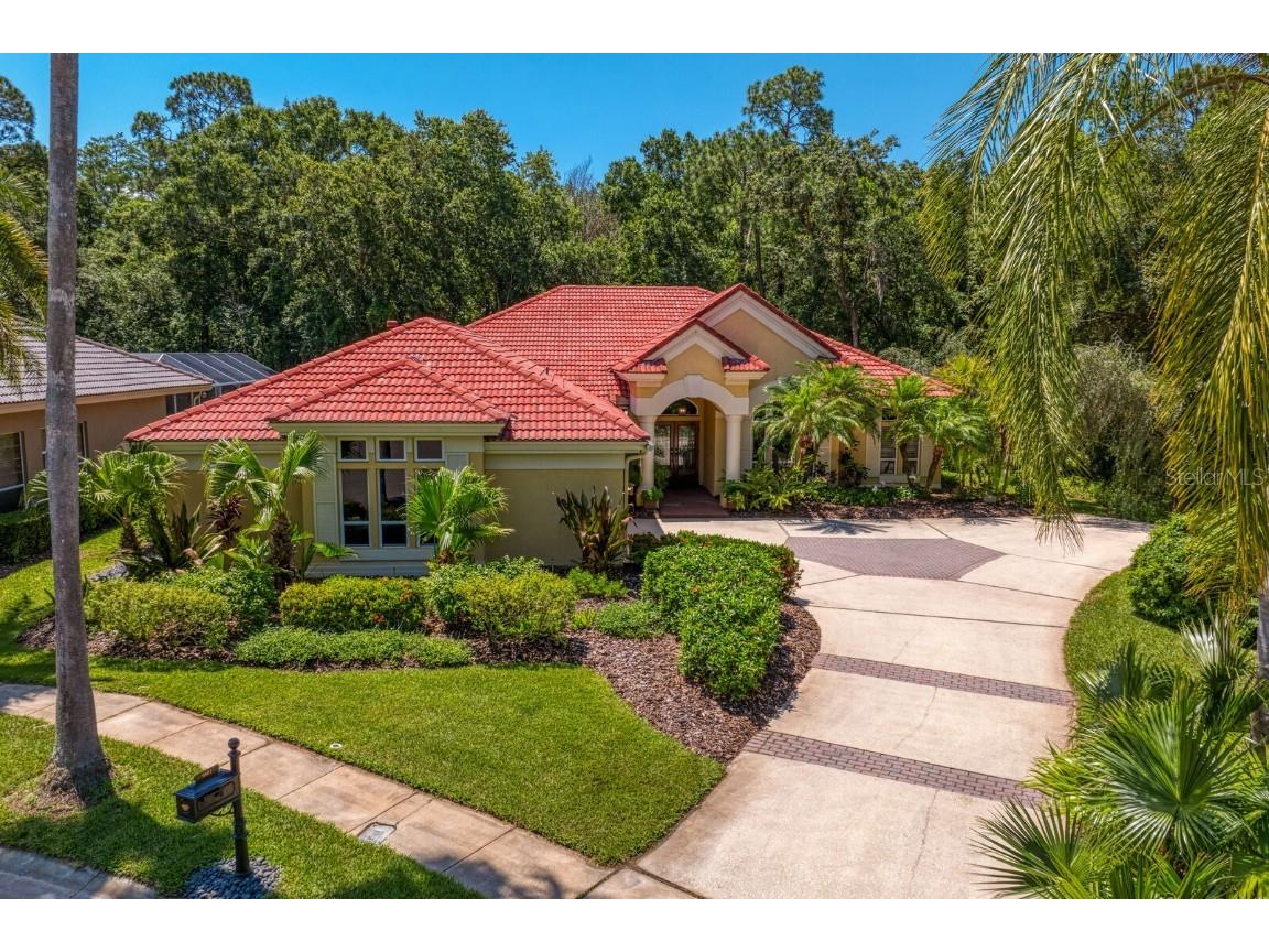9801 Emerald Links Drive Tampa FL 33626 T3532106 image1