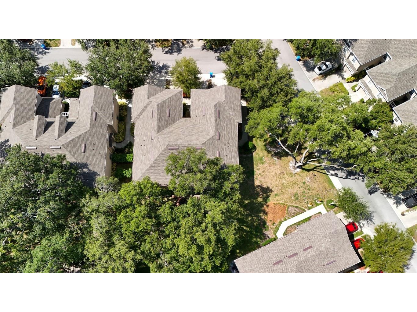 9802 Blue Palm Way Tampa FL 33610 TB8409758 image31