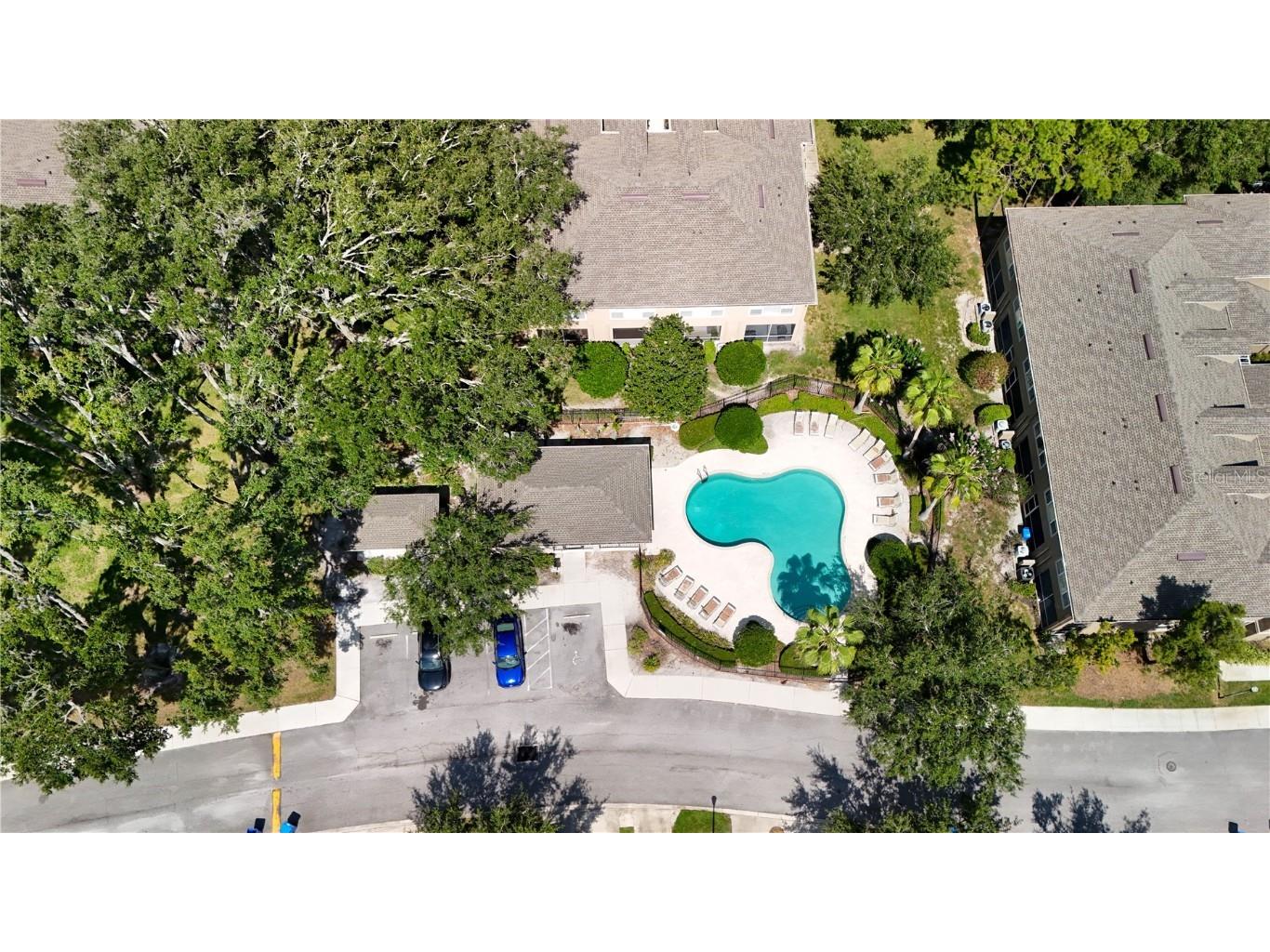 9802 Blue Palm Way Tampa FL 33610 TB8409758 image32