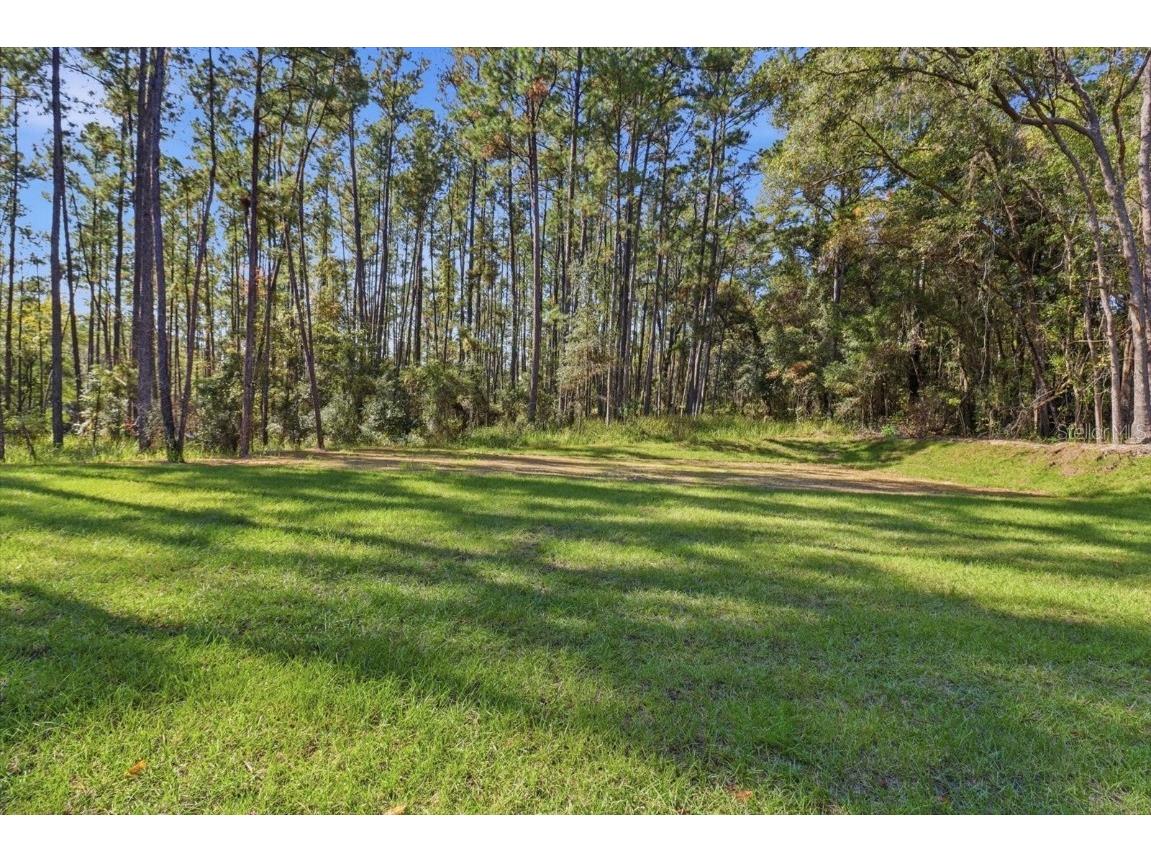 9802 N Athenia Drive Citrus Springs FL 34434 G5104759 image34