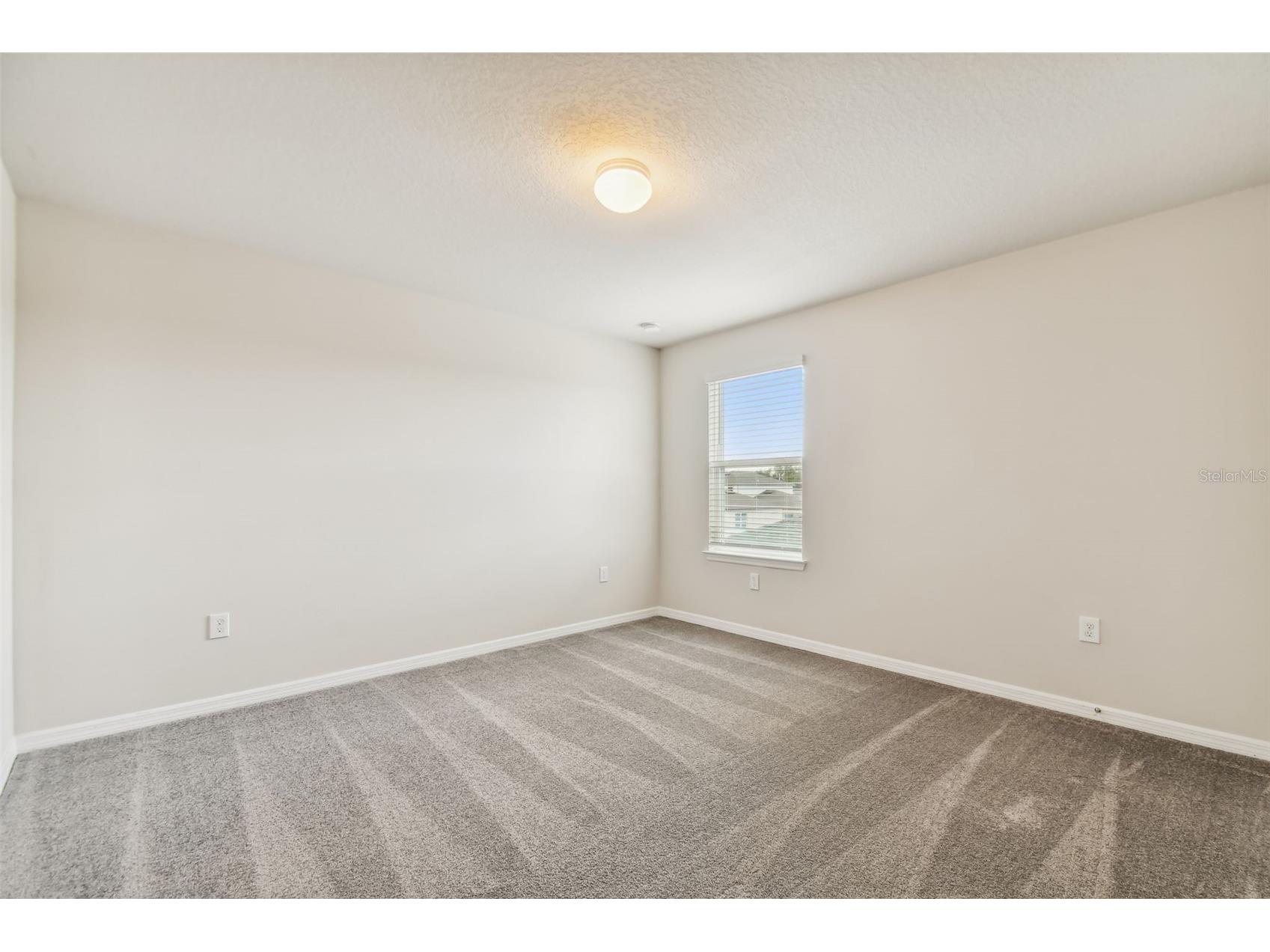 9802 Redwood Heights Loop Thonotosassa FL 33592 TB8495558 image22