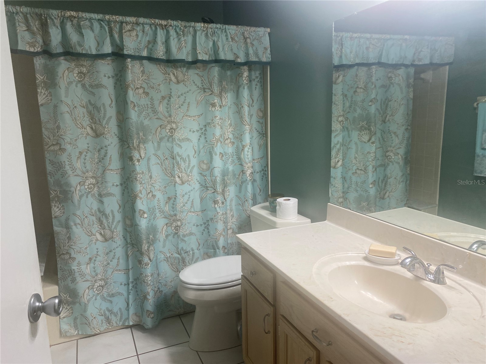 9802 SW 88th Terrace #C Ocala FL 34481 OM724333 image42