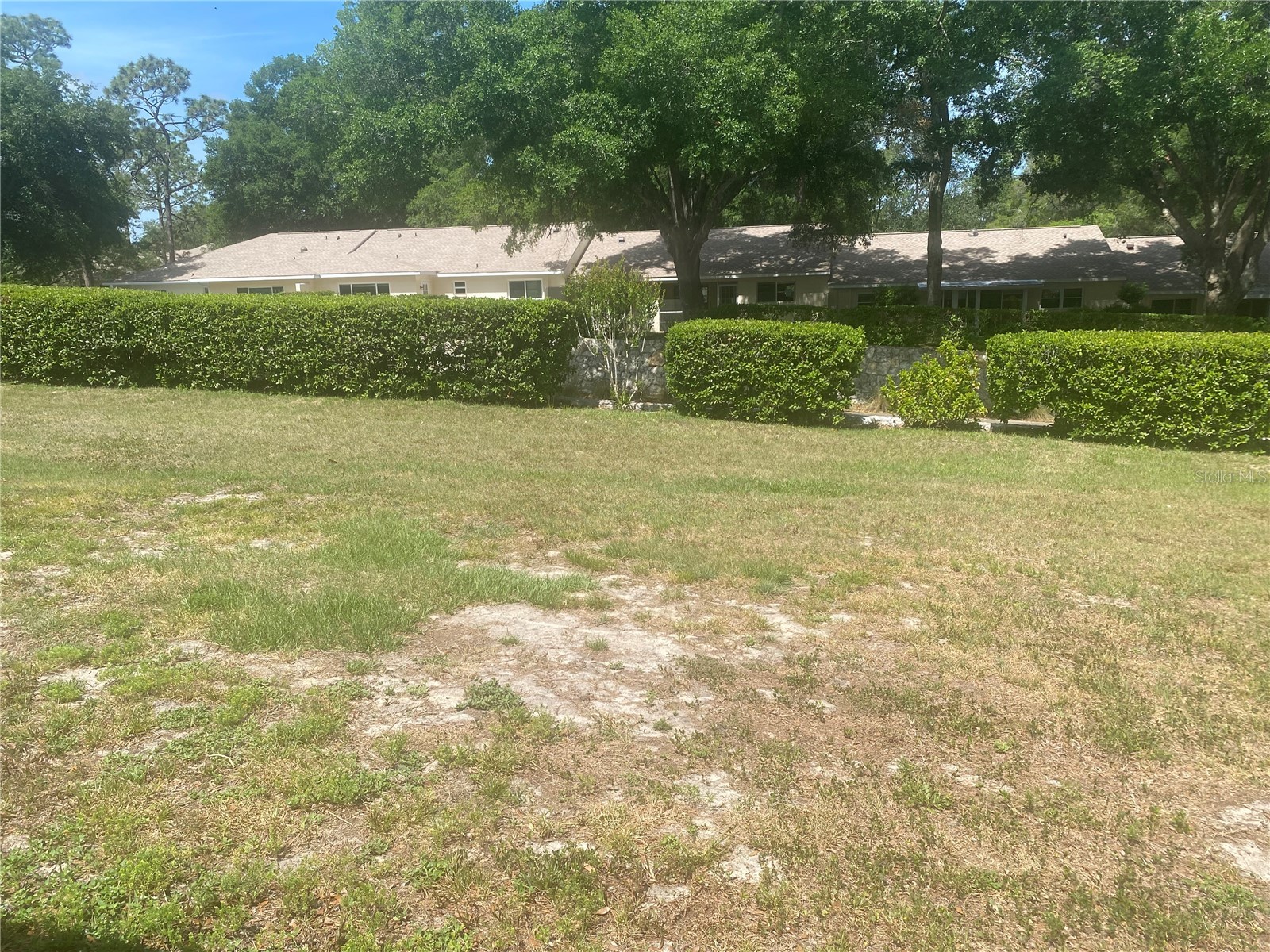 9802 SW 88th Terrace #C Ocala FL 34481 OM724333 image9