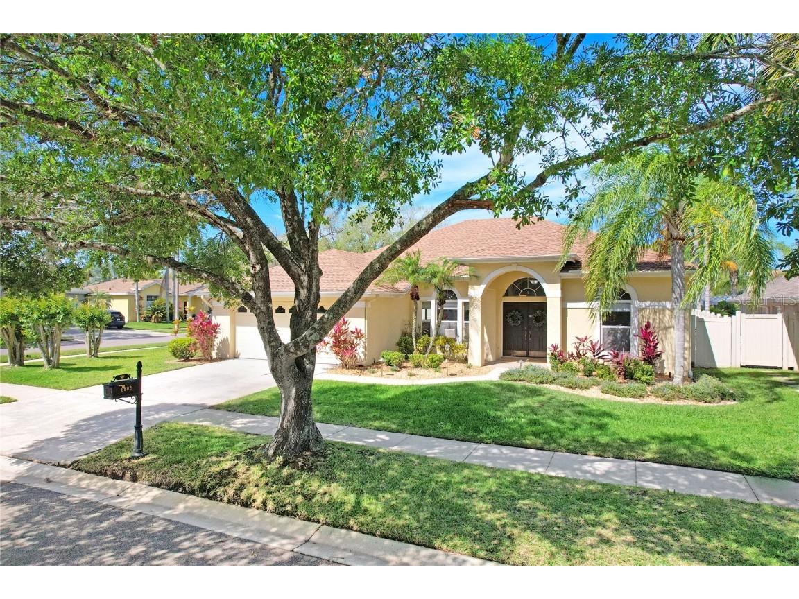 9802 Woodbay Drive Tampa FL 33626 T3515753 image1