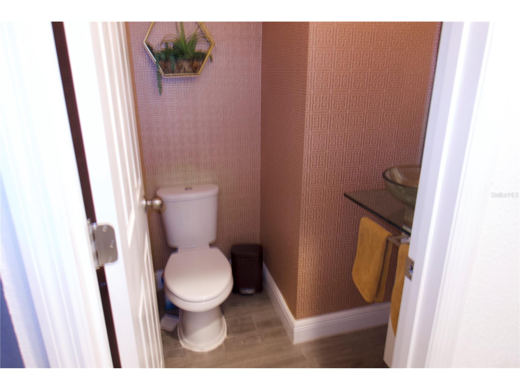 9803 Amber Chestnut Way Winter Garden FL 34787 S5142809 image15