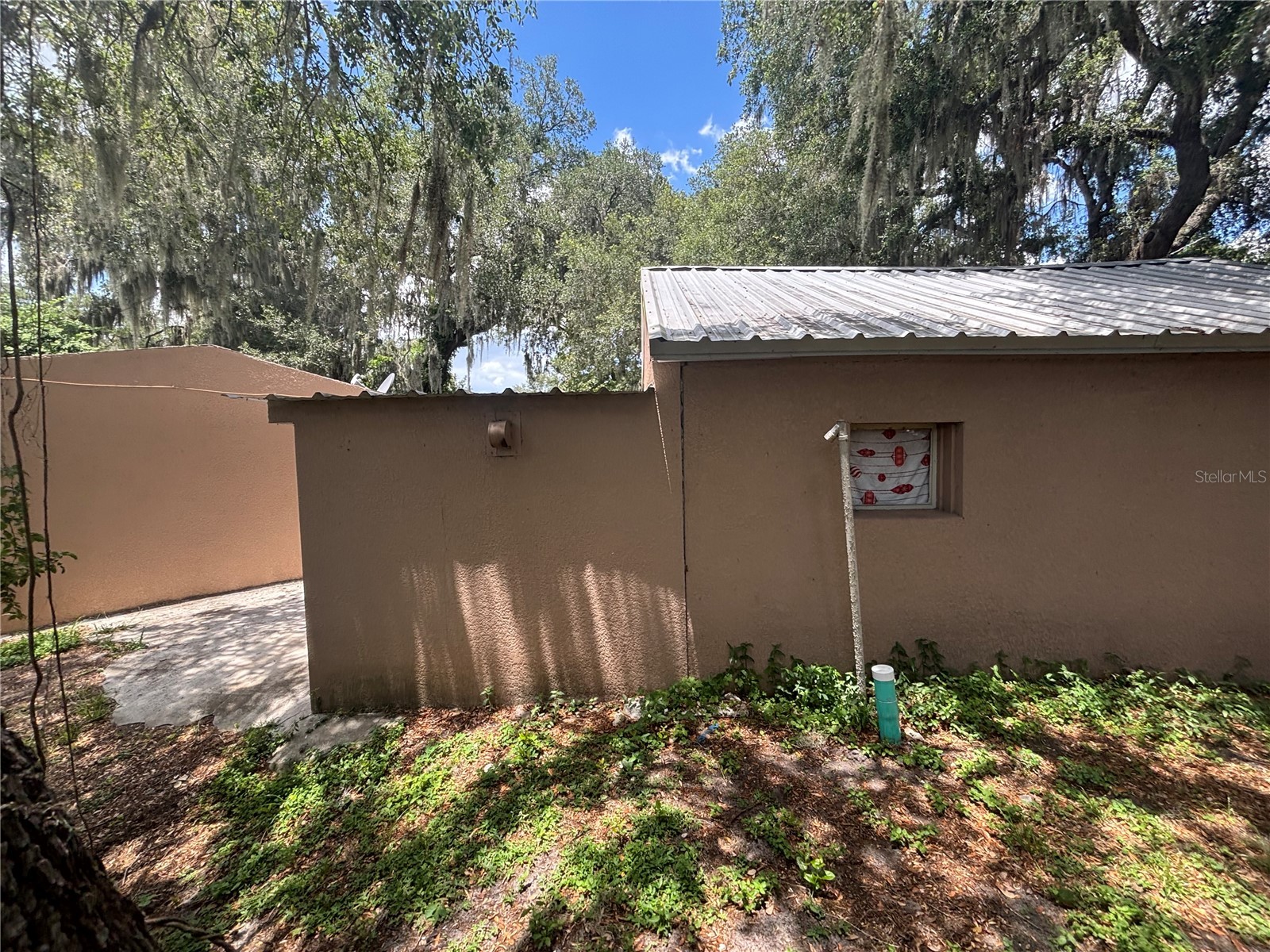 9803 Ethel Street Gibsonton FL 33534 TB8525036 image10