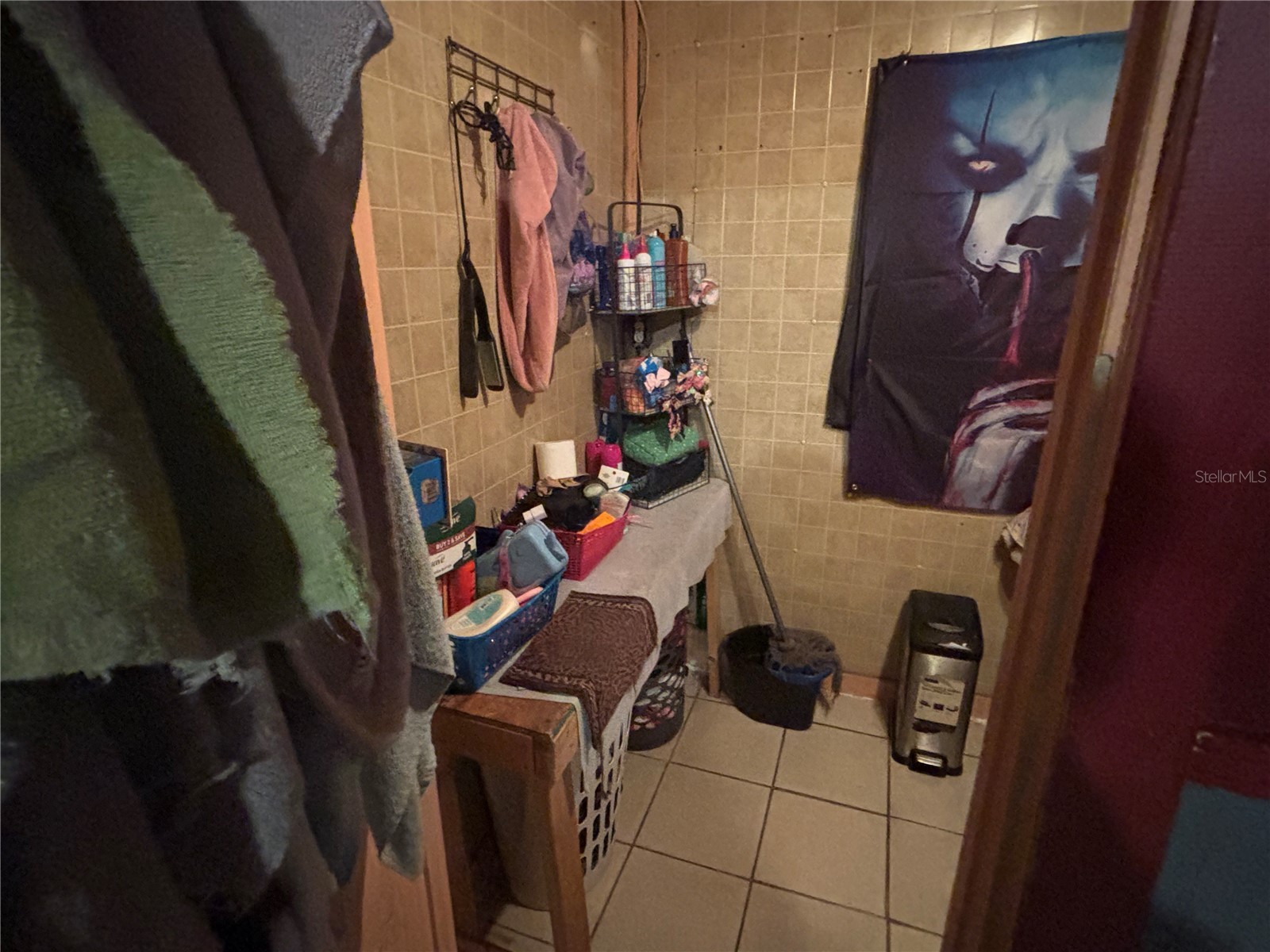 9803 Ethel Street Gibsonton FL 33534 TB8525036 image32