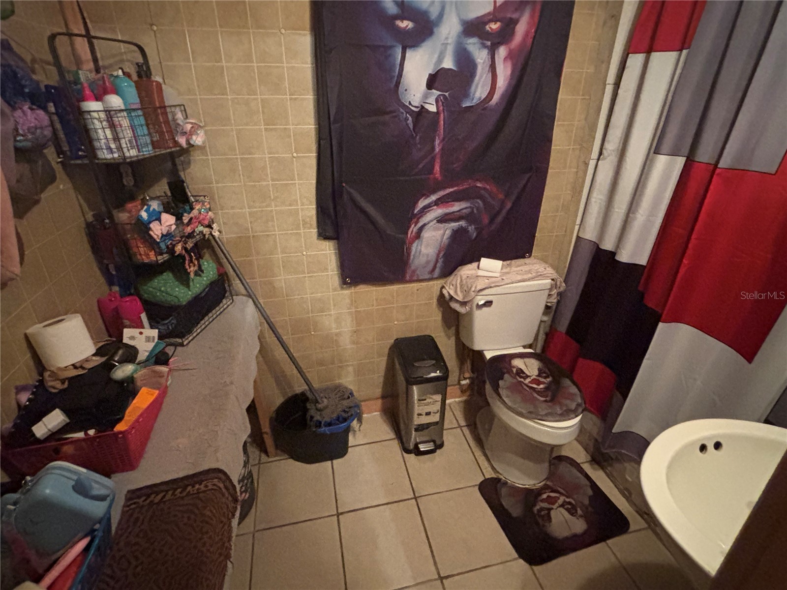 9803 Ethel Street Gibsonton FL 33534 TB8525036 image33