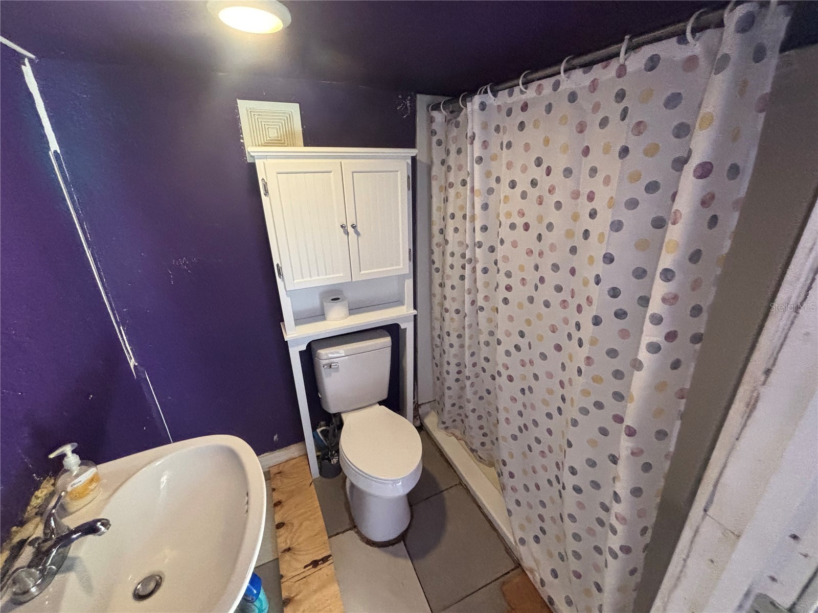9803 Ethel Street Gibsonton FL 33534 TB8525036 image42
