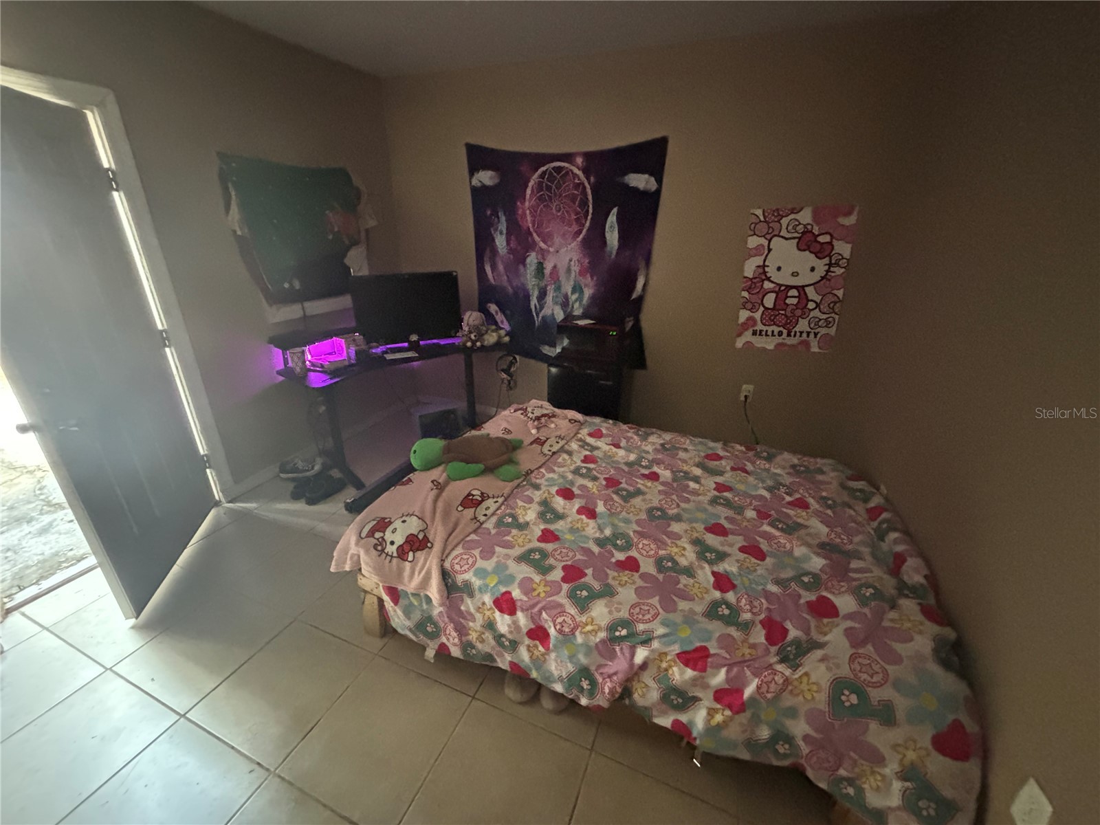 9803 Ethel Street Gibsonton FL 33534 TB8525036 image47