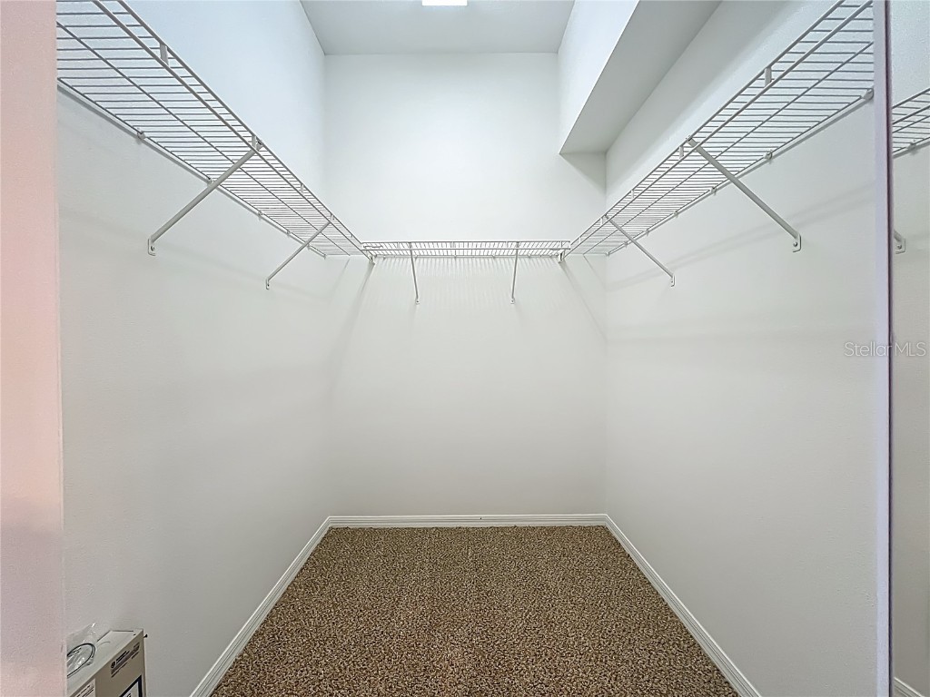 9803 Ocasta Street Riverview FL 33569 TB8407093 image22