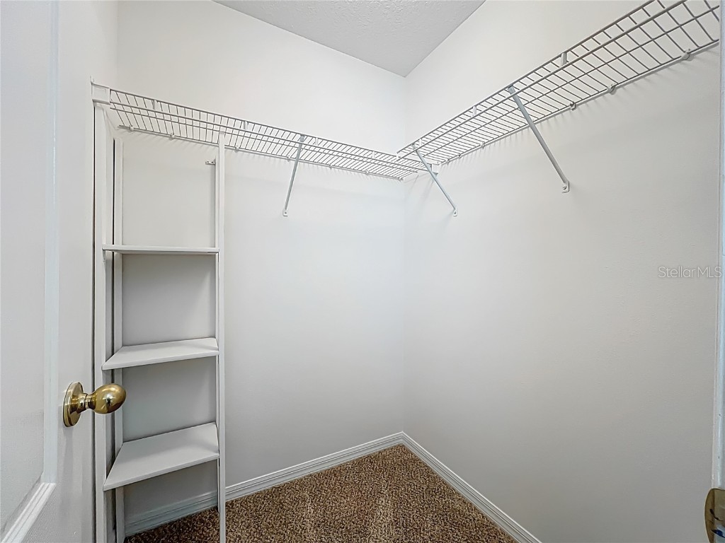 9803 Ocasta Street Riverview FL 33569 TB8407093 image29